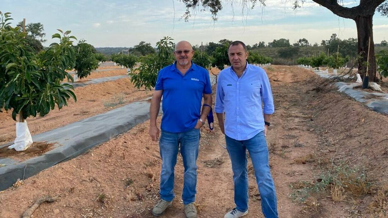 ecoculture-nitratos-nhdelta|ecoculture-nitratos-nhdelta